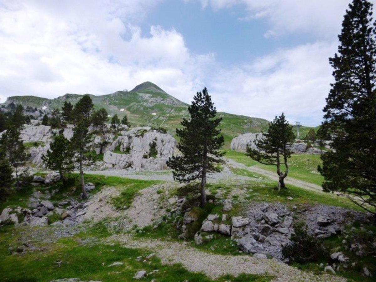 Studio Pour 6 A Arette Avec Acces Pistes, Balcon, Casier A Skis Et Parkings Gratuits - Fr-1-602-20 Εξωτερικό φωτογραφία